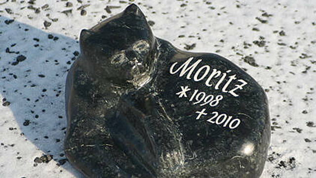Gedenkstein für den Kater "Moritz".