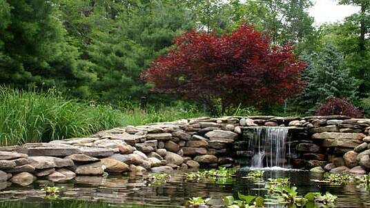 Natursteinmauer als Ursprung für einen Wasserfall und Hintergrund der Teichlandschaft